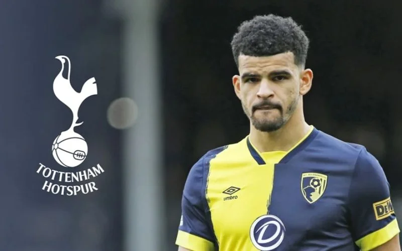 Solanke là tân binh nhận nhiều kỳ vọng của Tottenham