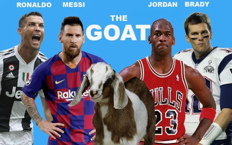 Cách sử dụng từ Goat