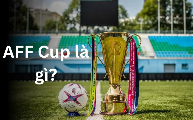 Giới thiệu về AFF Cup