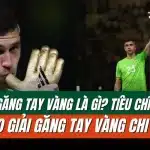 Tìm hiểu về Găng Tay Vàng