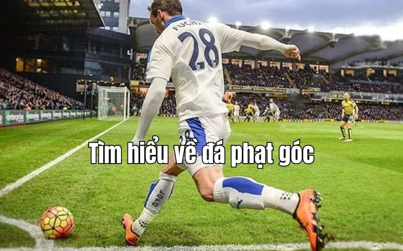 Tìm hiểu về đá phạt góc