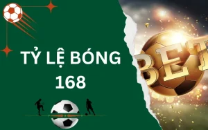 tỷ lệ bóng 168