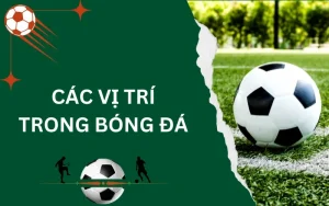 Các vị trí trong bóng đá