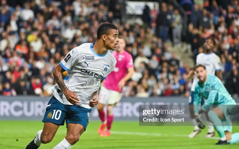 greenwood-giup-marseille-bay-cao