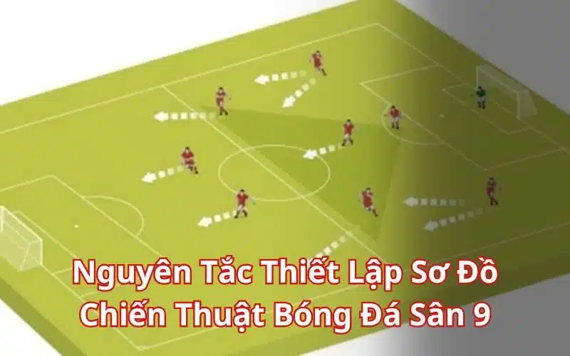 Nguyên Tắc Thiết Lập Sơ Đồ Chiến Thuật Bóng Đá Sân 9