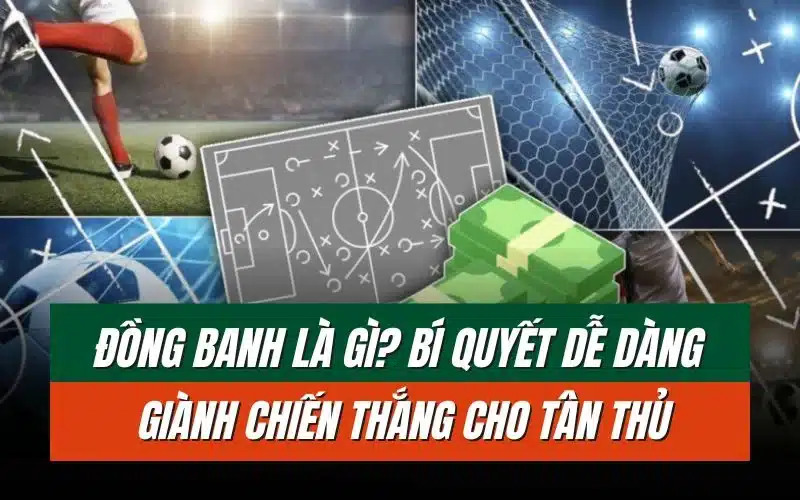 thumbnail-dong-banh-la-gi