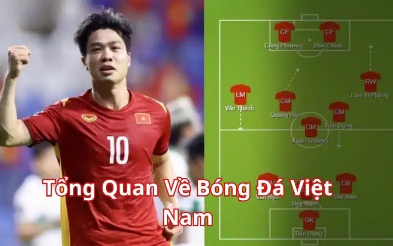 Tổng Quan Về Bóng Đá Việt Nam