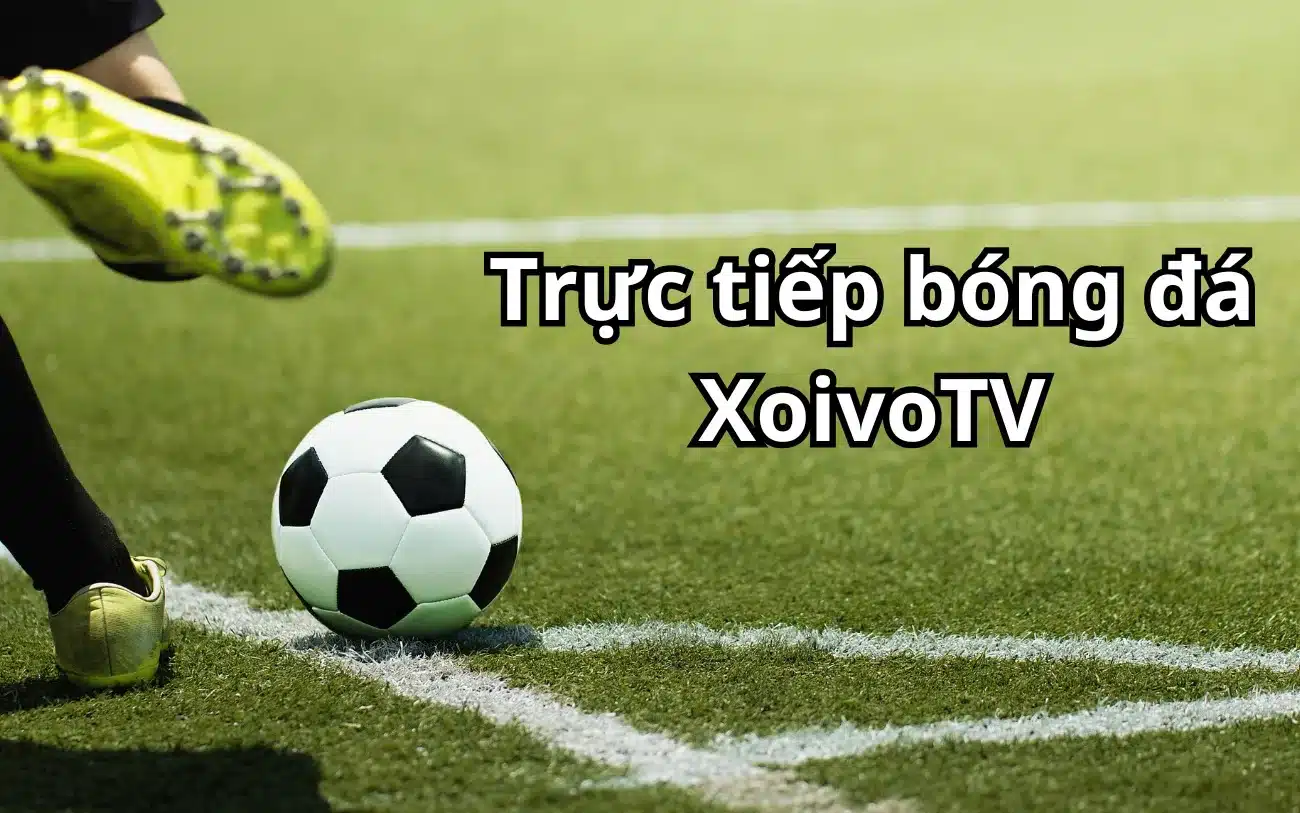 Xoivo TV - Web xem bóng đá được yêu thích nhất năm 2024