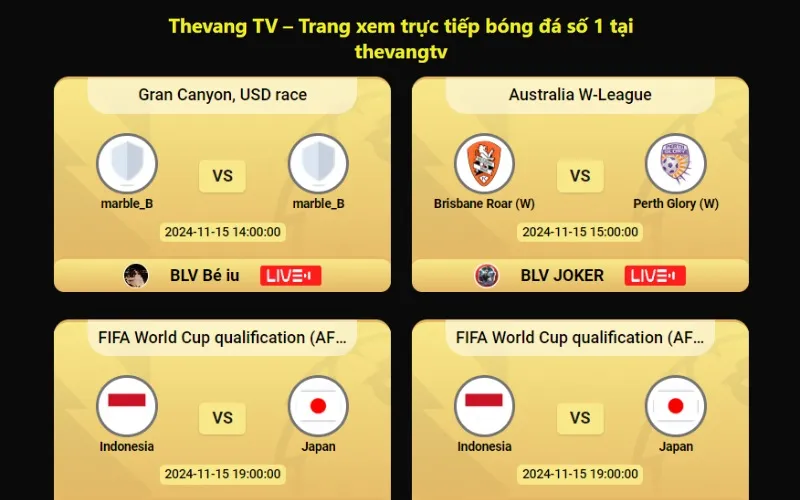 TheVang TV - Web xem bóng đá chất lượng cao dẫn đầu thị trường