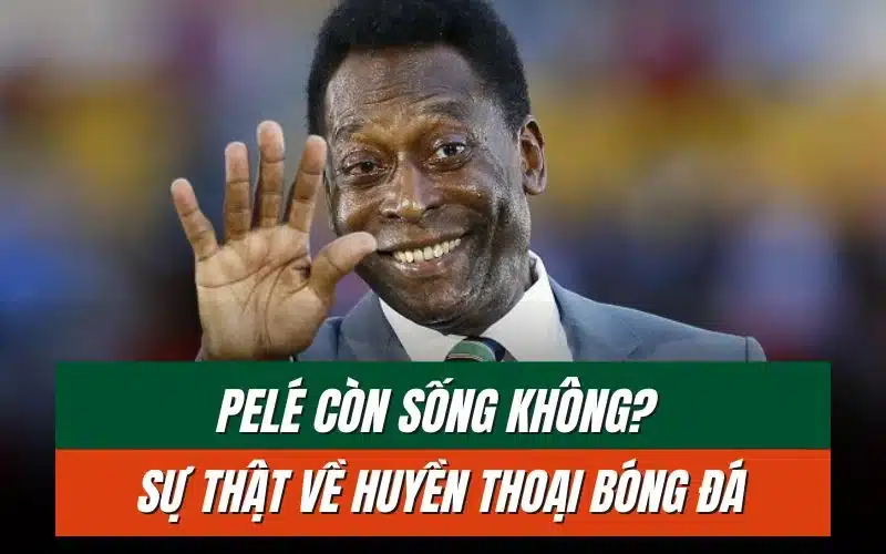 thumbnail-pele-con-song-khong