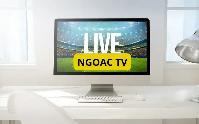 NgoacTV mang đến cho người xem trải nghiệm chân thực, sống động