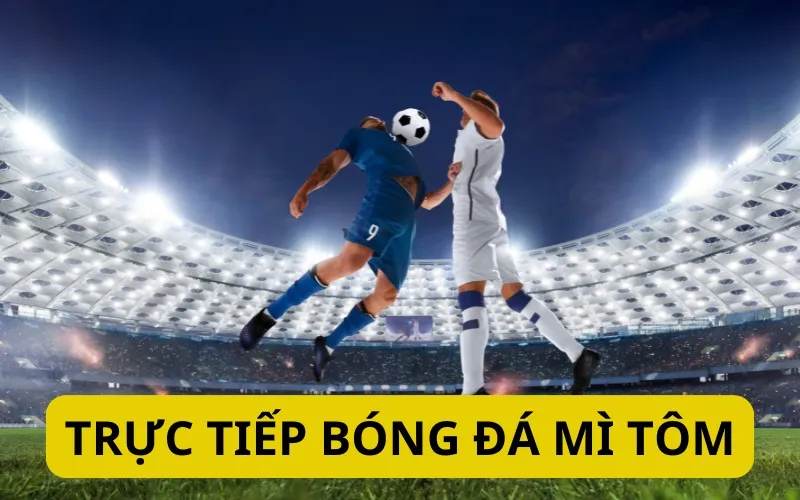 Mì Tôm TV mang đến cho người dùng trải nghiệm lướt web tối ưu nhất